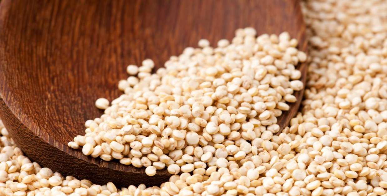 Grãos de quinoa